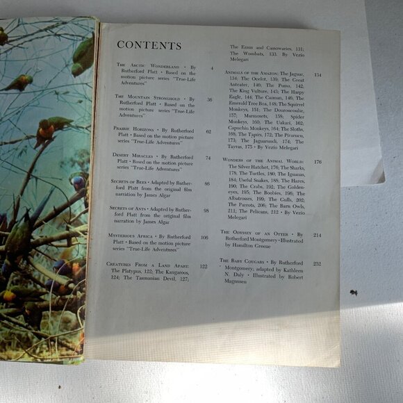 Walt Disney's Worlds of Nature Hardcover Book 1965 - Picture 5 of 6
